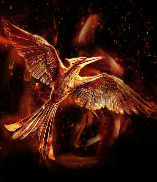 hunger games part 2 FNL2.jpg